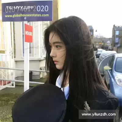 魏花梦